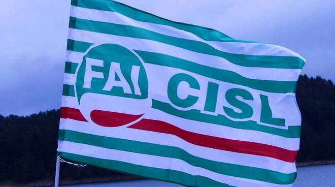 elezioni RSU al Molino Nicoli